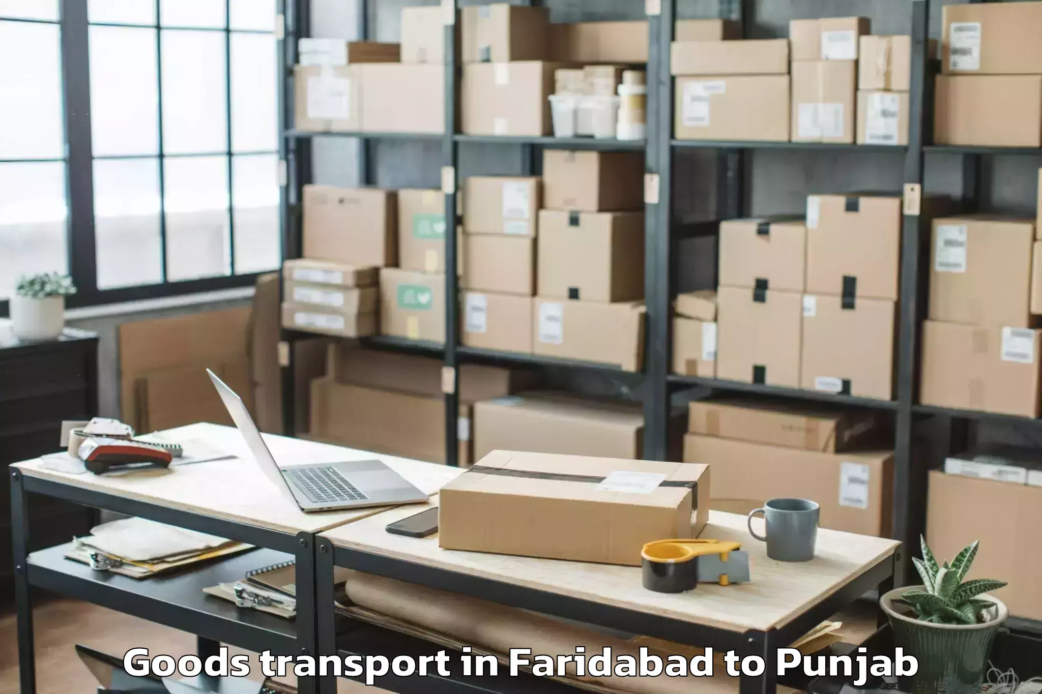 Book Faridabad to Malerkotla Goods Transport Online